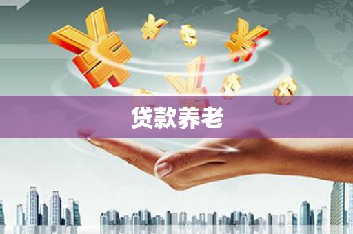 紫云贷款养老