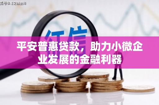 长涂平安普惠贷款，助力小微企业发展的金融利器