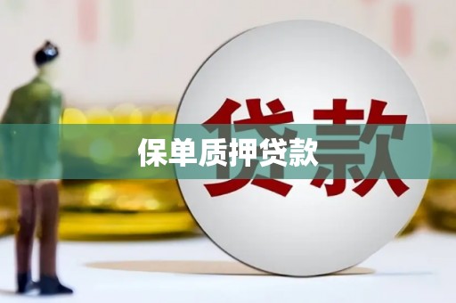 湾仔区保单质押贷款