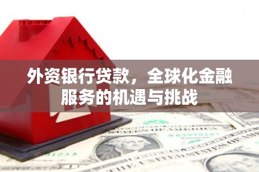 武冈外资银行贷款，全球化金融服务的机遇与挑战