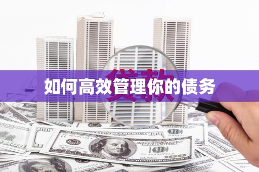 越城如何高效管理你的债务