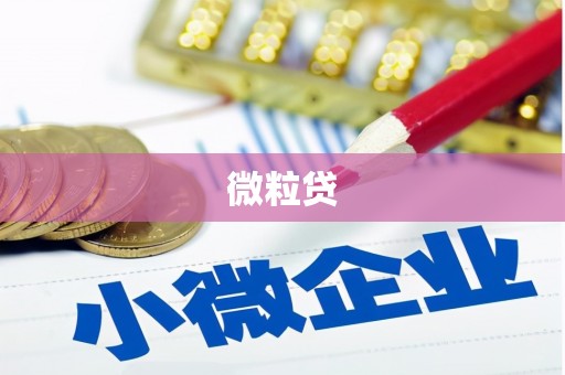 措勤微粒贷