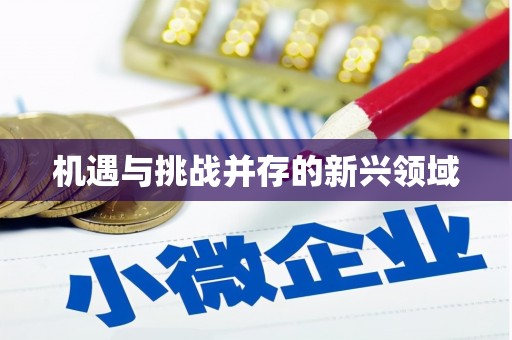 吴忠机遇与挑战并存的新兴领域