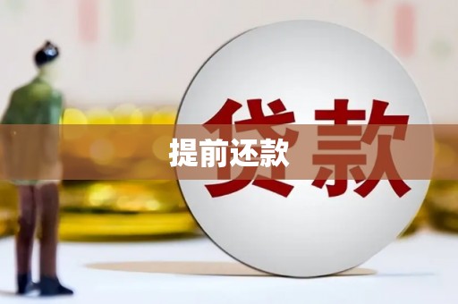 乐平提前还款