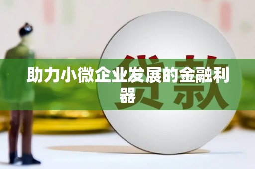 雷州助力小微企业发展的金融利器