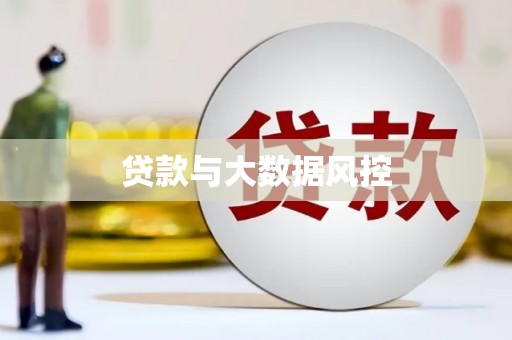 岳麓贷款与大数据风控