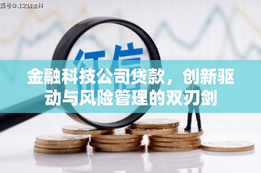 南安金融科技公司贷款，创新驱动与风险管理的双刃剑